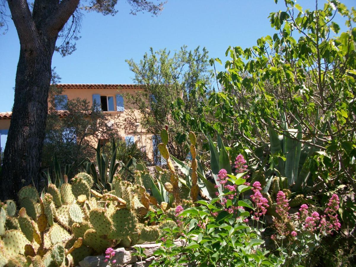 Les Chardons Bleus Bed & Breakfast Lorgues Dış mekan fotoğraf
