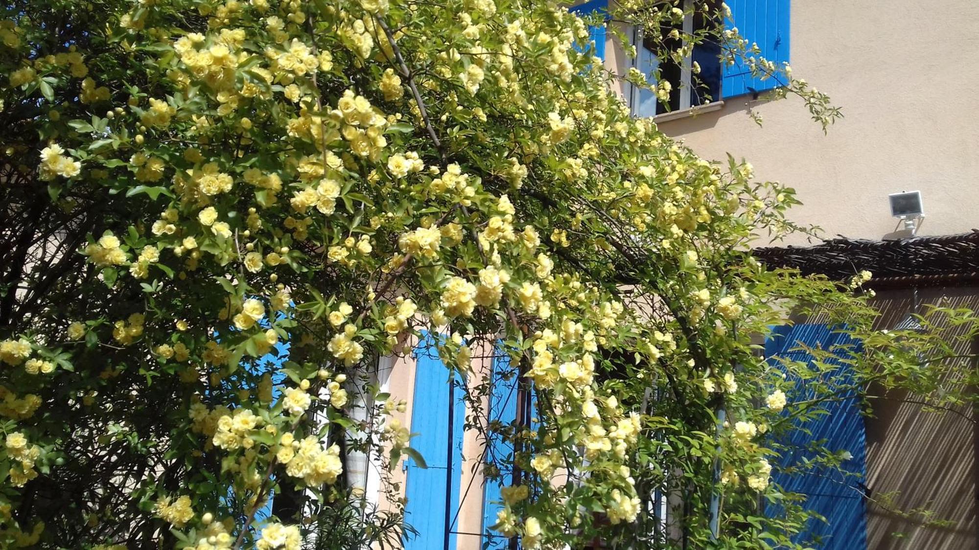 Les Chardons Bleus Bed & Breakfast Lorgues Dış mekan fotoğraf