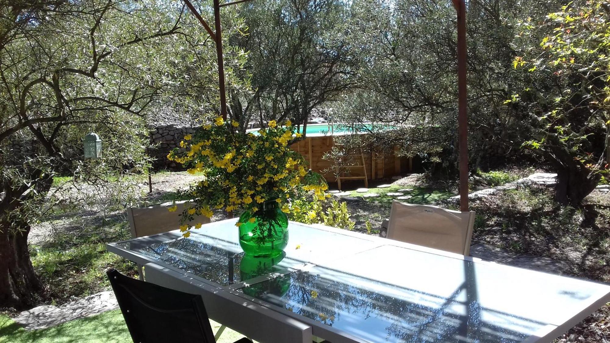 Les Chardons Bleus Bed & Breakfast Lorgues Dış mekan fotoğraf