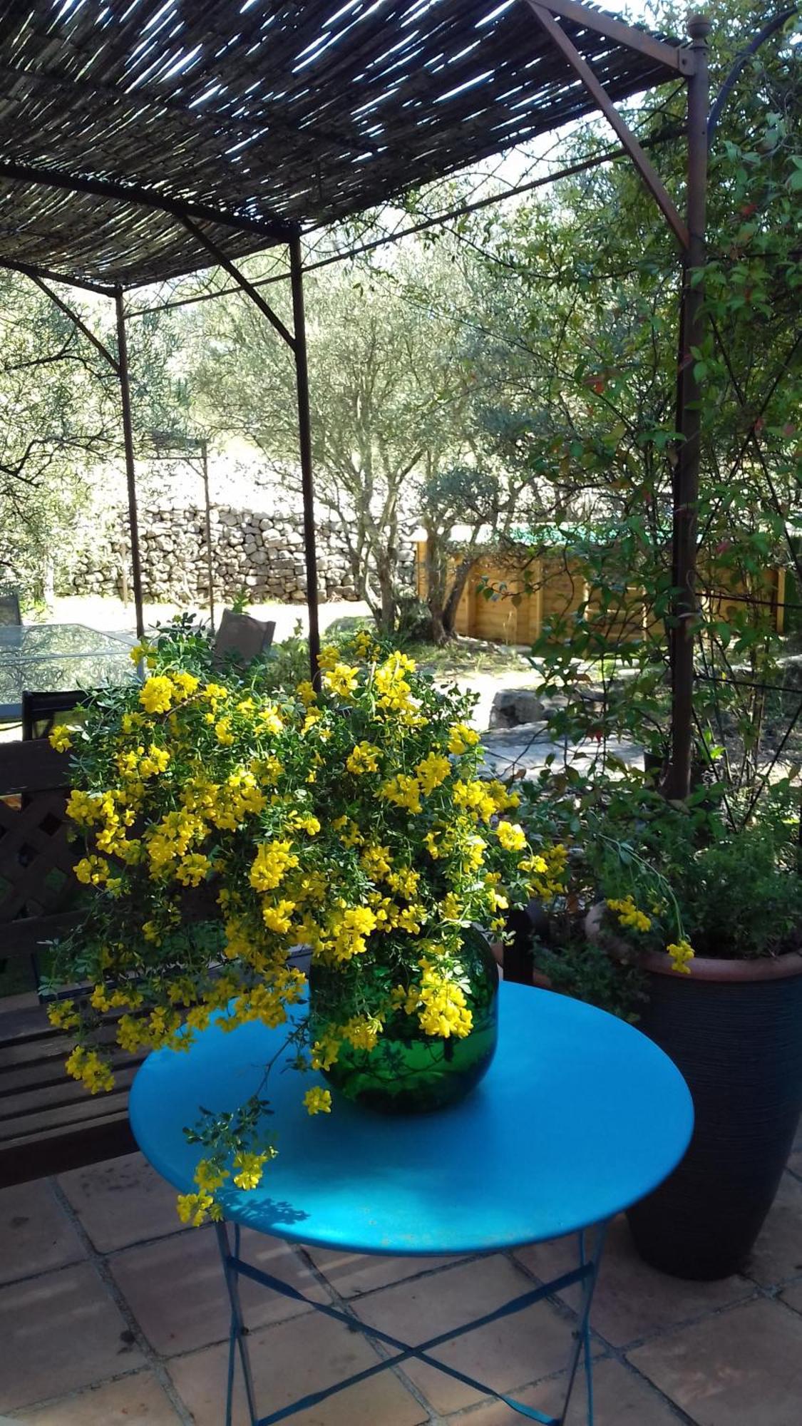 Les Chardons Bleus Bed & Breakfast Lorgues Dış mekan fotoğraf