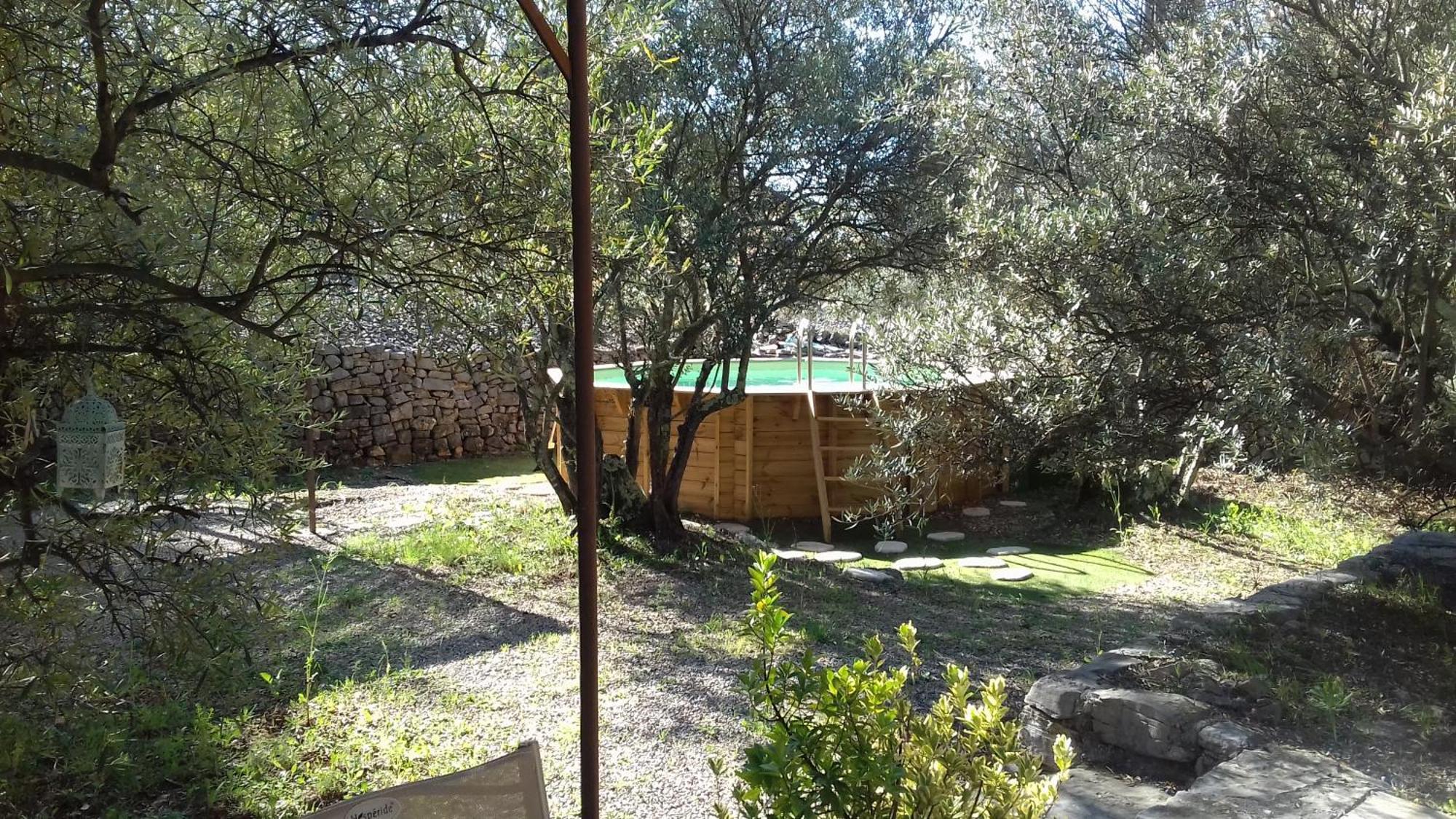 Les Chardons Bleus Bed & Breakfast Lorgues Dış mekan fotoğraf